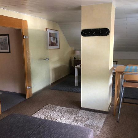 Ironico Homestay 4 Schlafzimmer Ferienwohnung 100 M2 Nahe Bostalsee Eisen  Ngoại thất bức ảnh