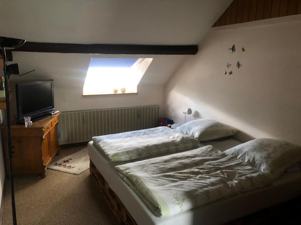Ironico Homestay 4 Schlafzimmer Ferienwohnung 100 M2 Nahe Bostalsee Eisen  Ngoại thất bức ảnh
