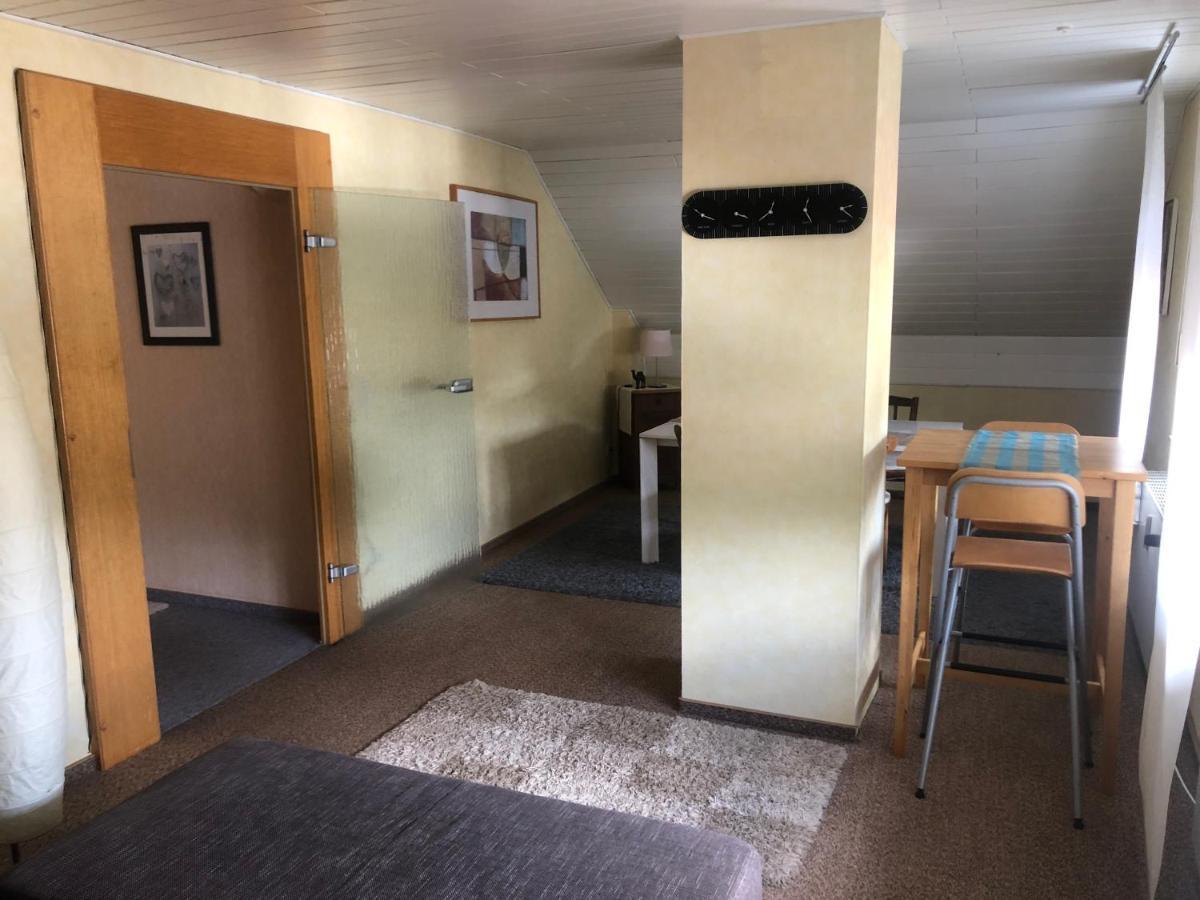 Ironico Homestay 4 Schlafzimmer Ferienwohnung 100 M2 Nahe Bostalsee Eisen  Ngoại thất bức ảnh