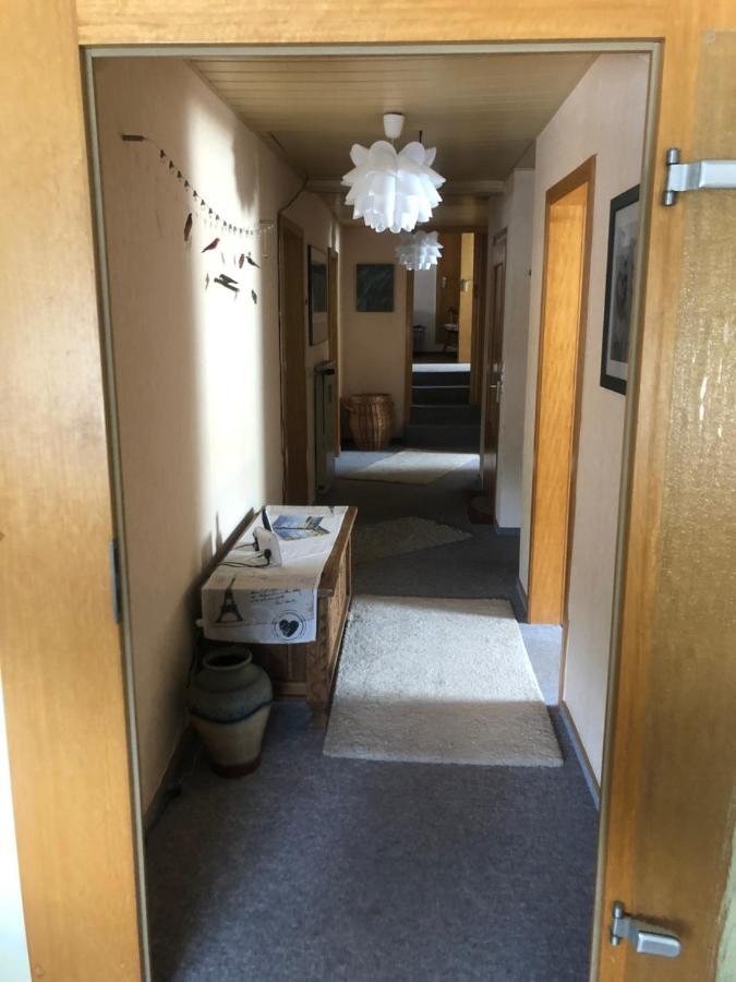 Ironico Homestay 4 Schlafzimmer Ferienwohnung 100 M2 Nahe Bostalsee Eisen  Ngoại thất bức ảnh